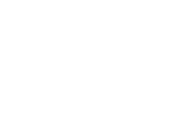 Salomon logo