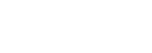 Volkl logo